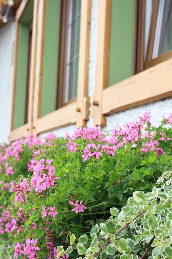 Landgasthof Ritter Orsingen-Nenzingen Zewnętrze zdjęcie